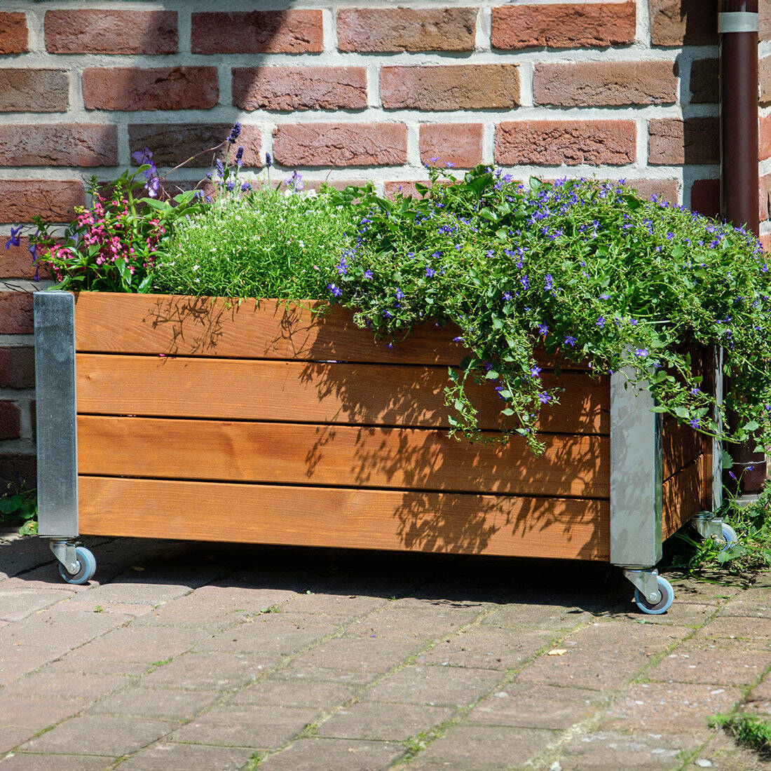 Blumenkübel auf Rollen | wetterfest