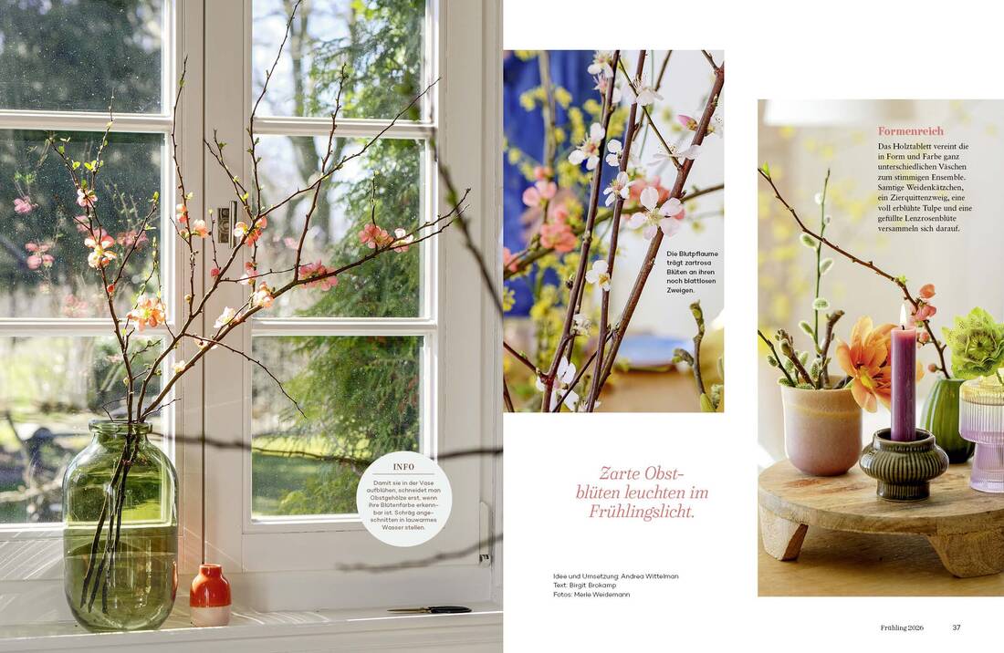 Landlust Zuhaus 01/2026