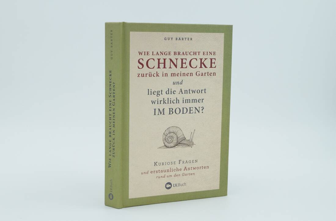 Wie lange braucht eine Schnecke zurück in meinen Garten?