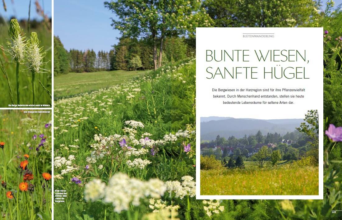 Landlust Heft 3/2022