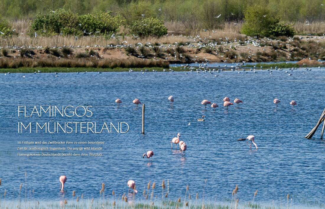 Landlust Heft 2/2023