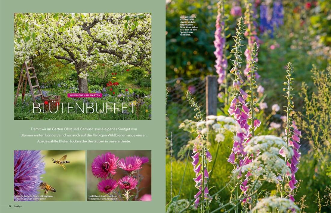 Landlust Heft 2/2024