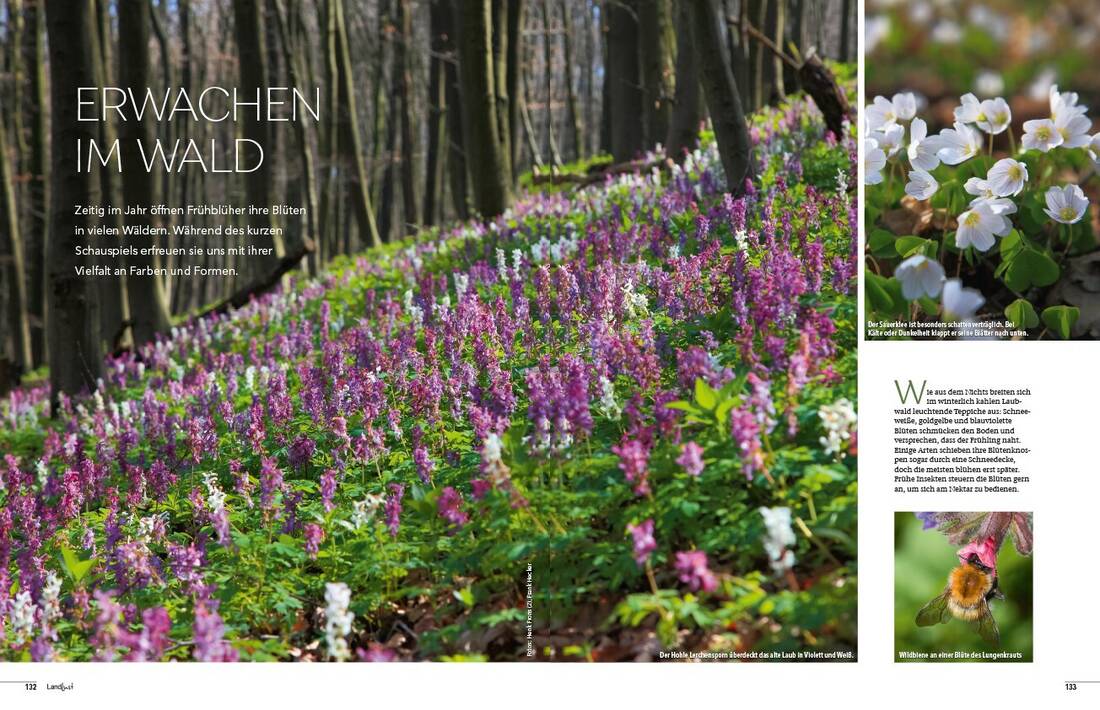 Landlust Heft 2/2025