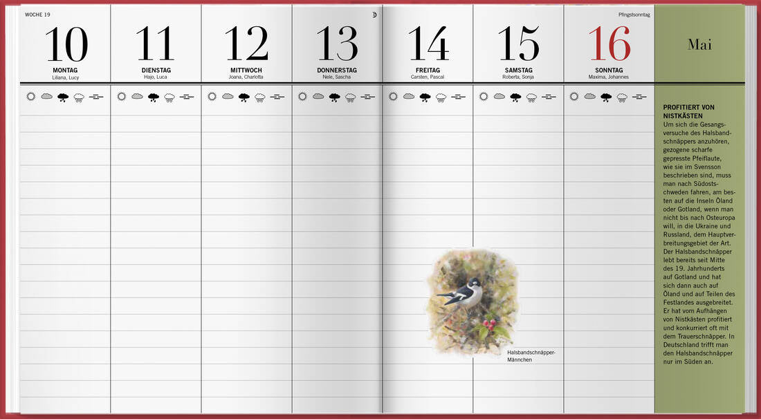 Der illustrierte Vogelkalender 2027