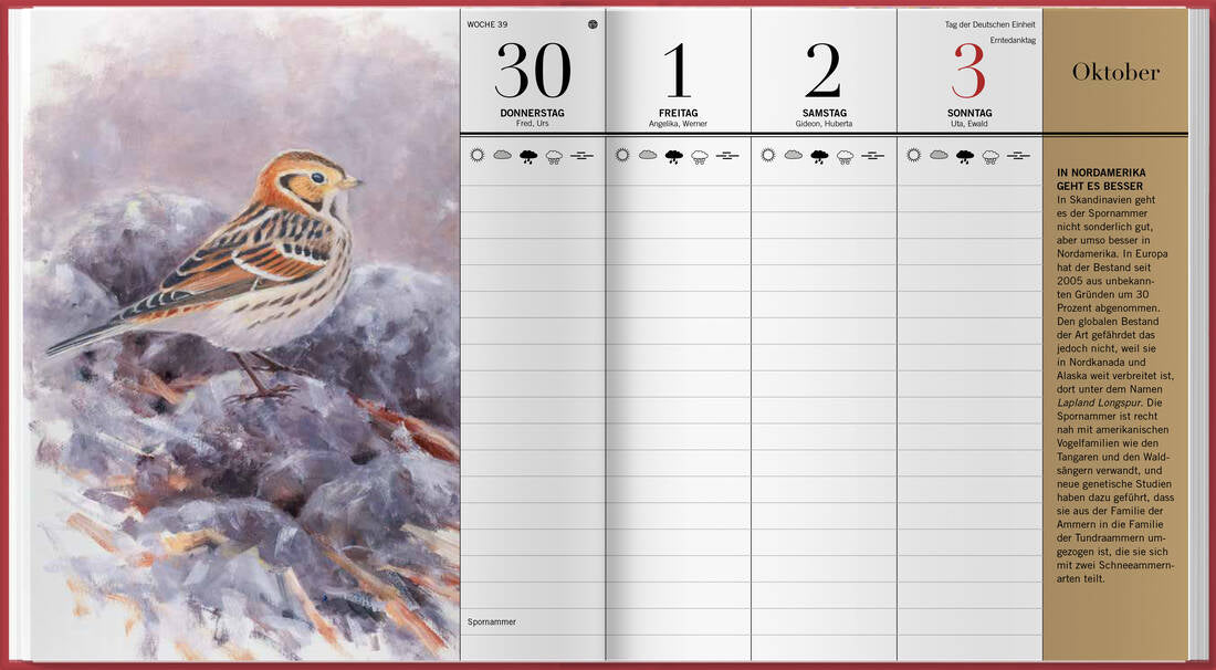Der illustrierte Vogelkalender 2027