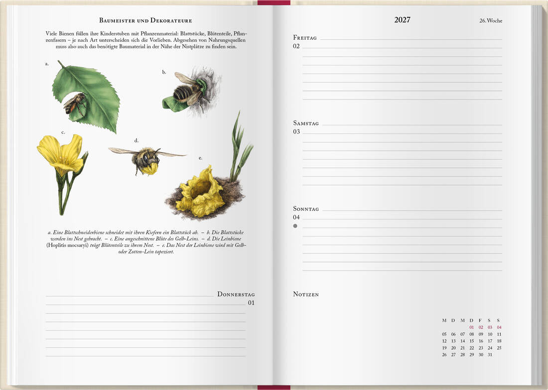 Bienenkalender 2027