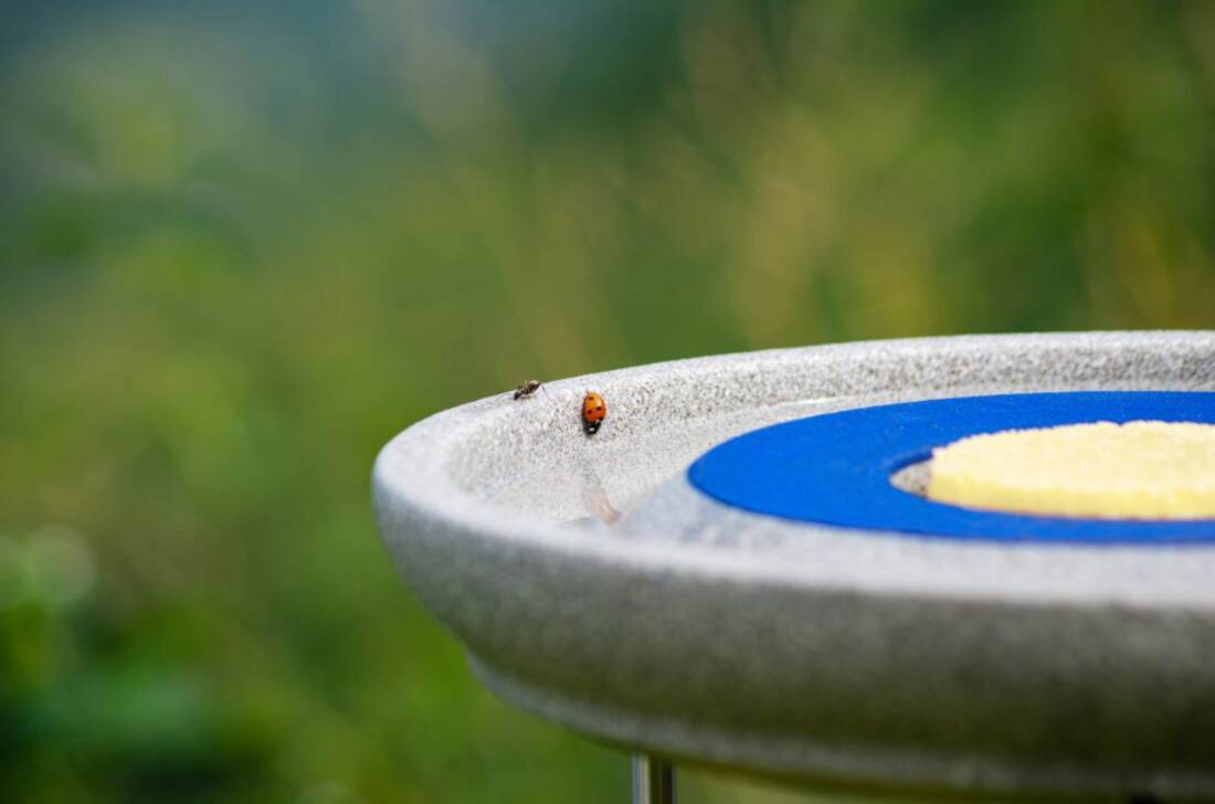 Insektenstation