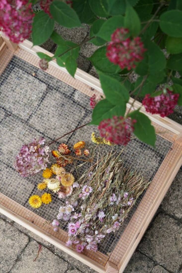 Blumenkiste