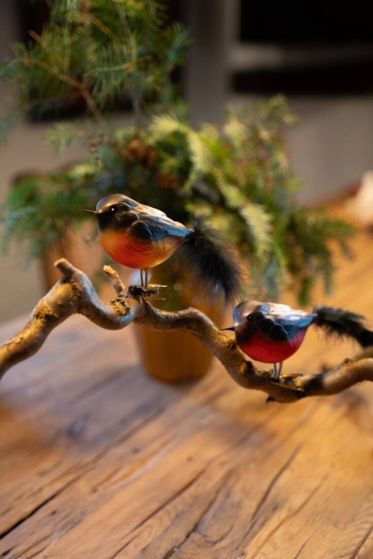 Vogelpaar Dompfaff