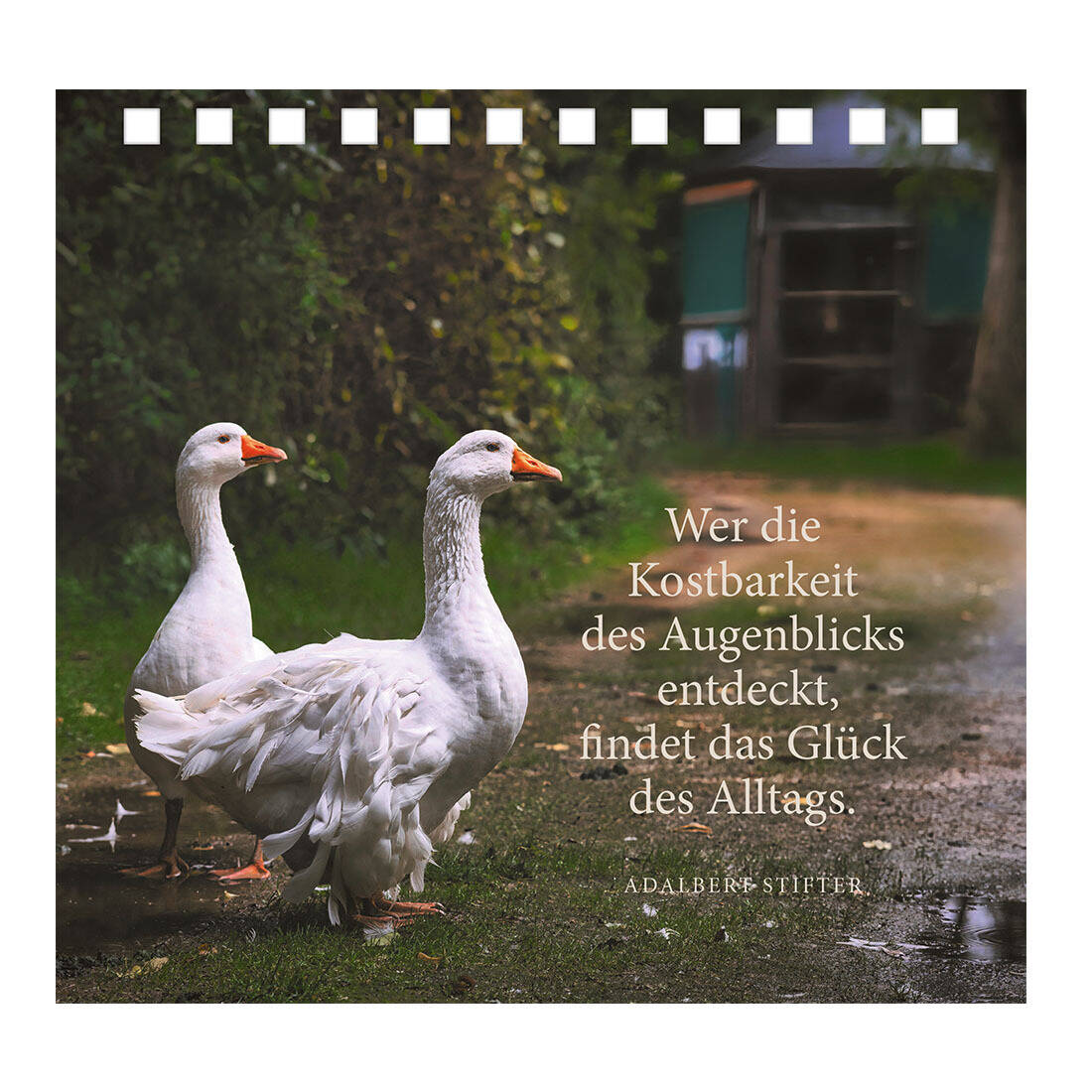 Spiralaufsteller "Komm zur Ruhe, finde neue Kraft"