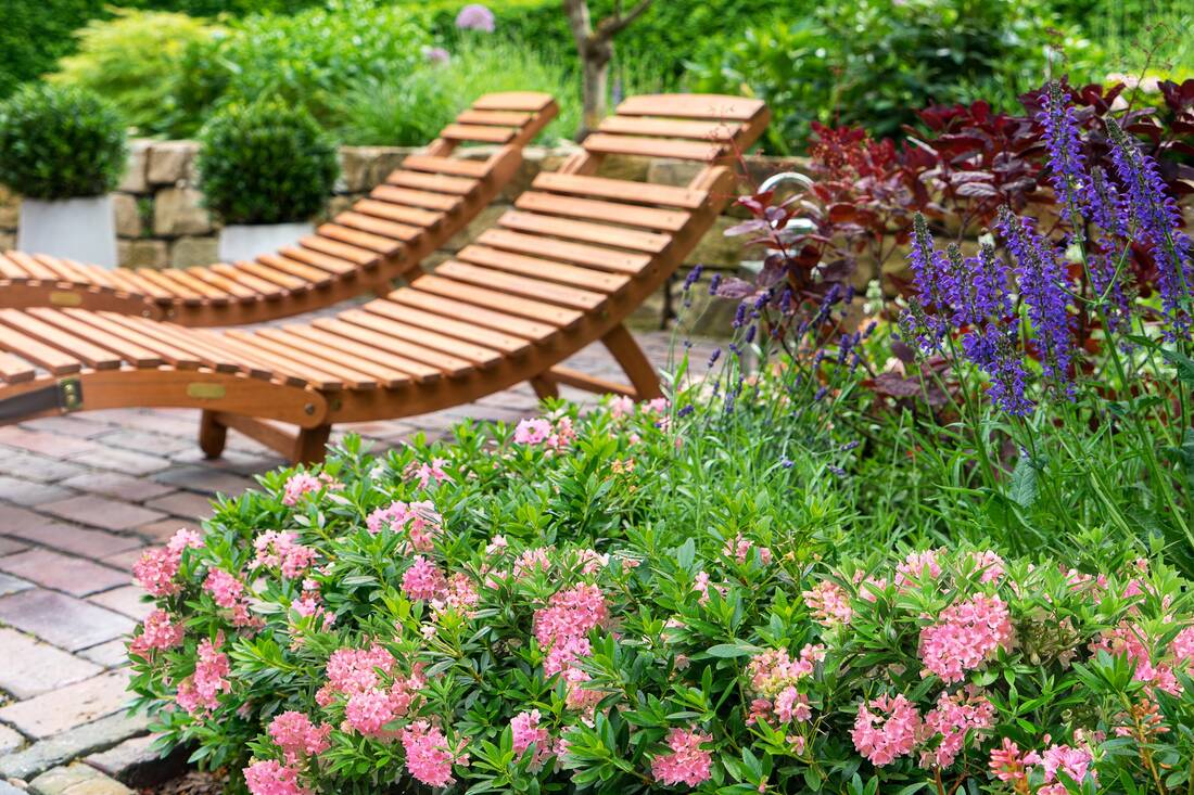 Zwergrhododendron Bloombux Magenta 2er Set