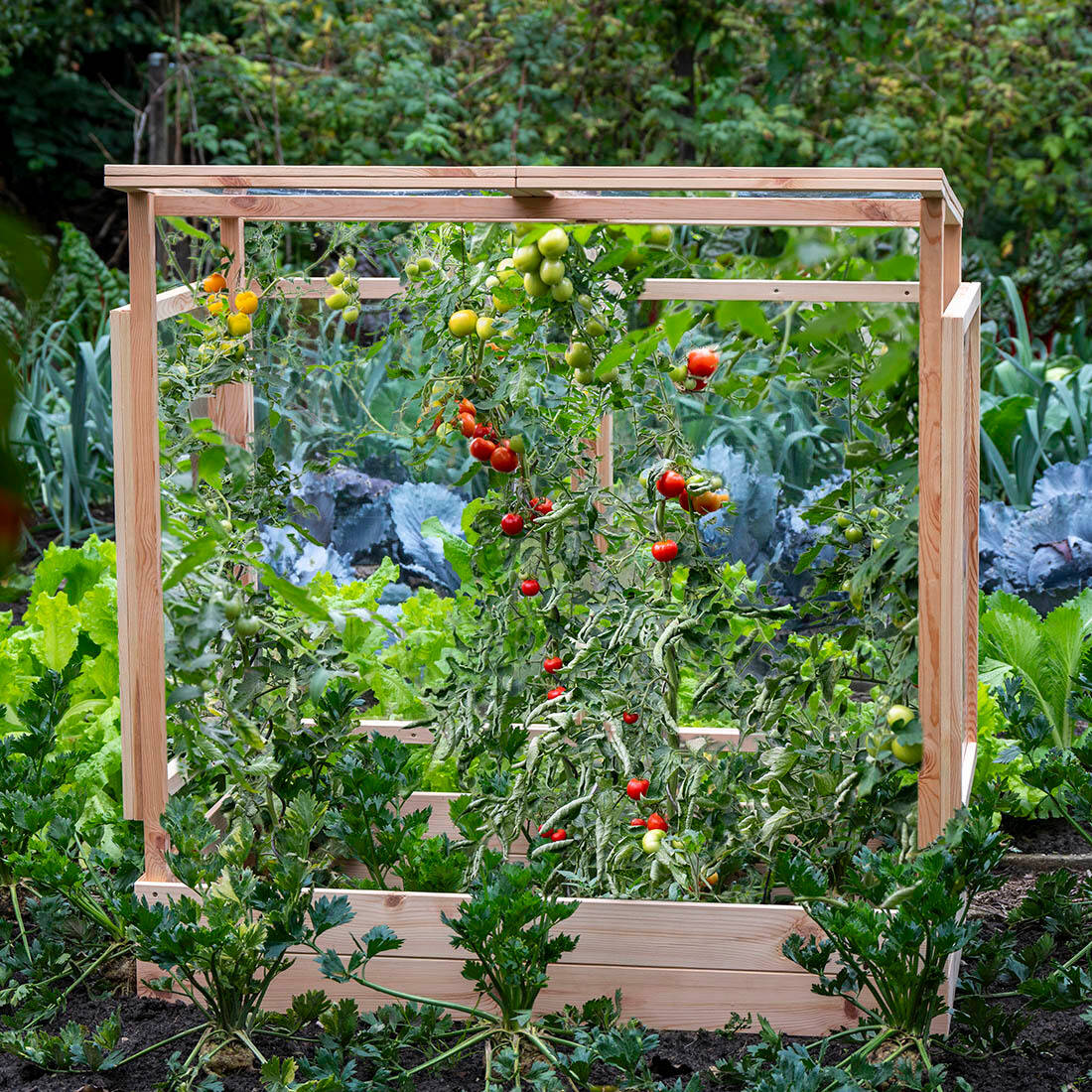 Tomatenhaus aus Holz