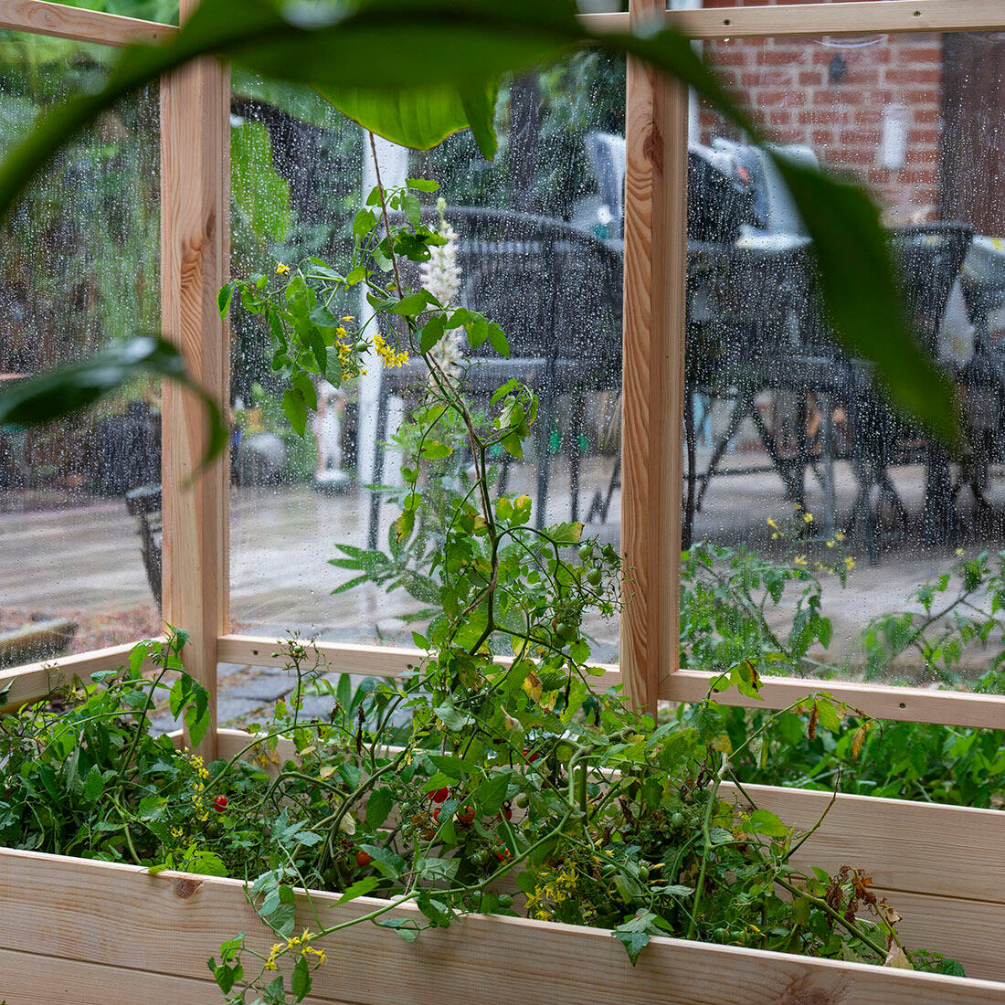 Tomatenhaus aus Holz