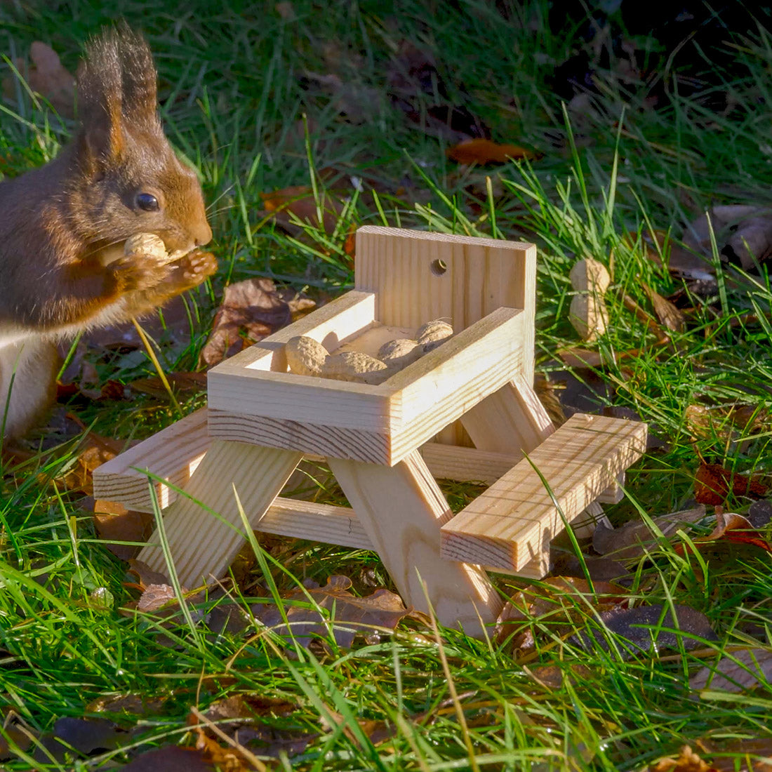 Picknicktisch für Eichhörnchen