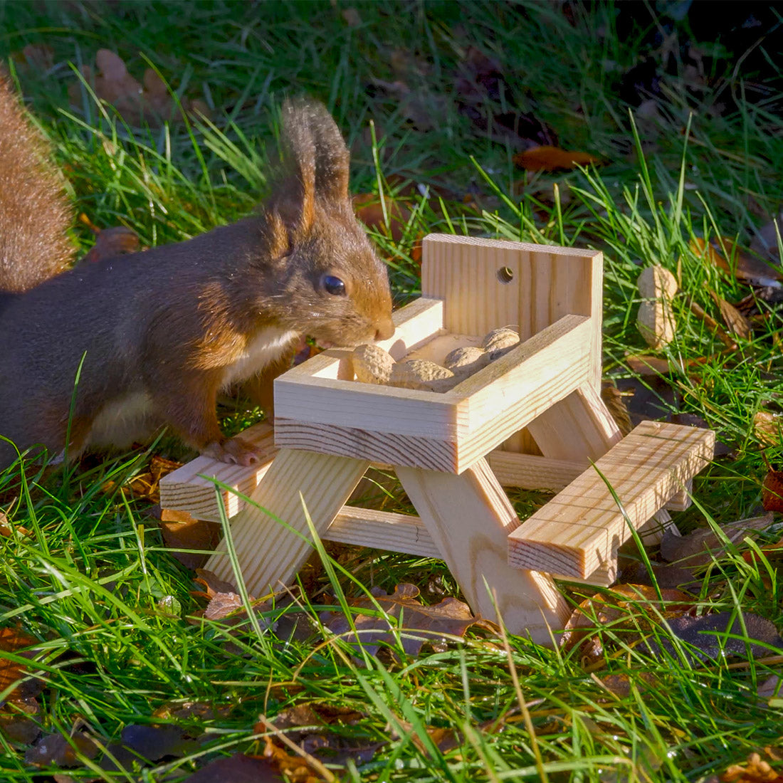 Picknicktisch für Eichhörnchen