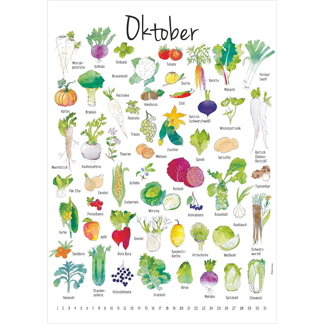 Der Saisonkalender