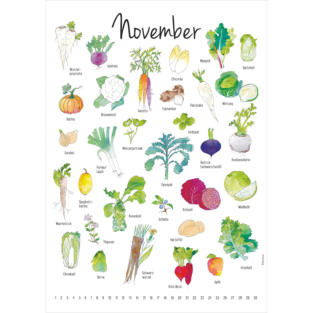 Der Saisonkalender