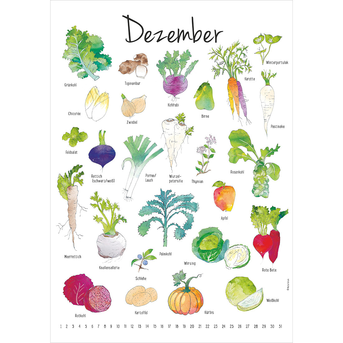 Der Saisonkalender