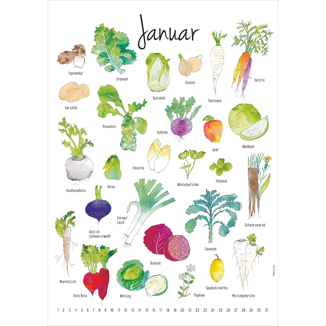 Der Saisonkalender