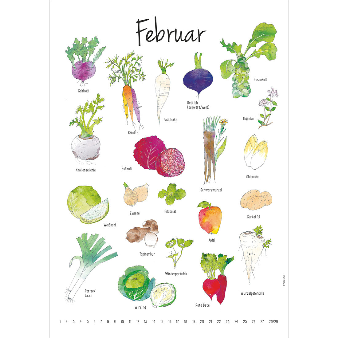 Der Saisonkalender