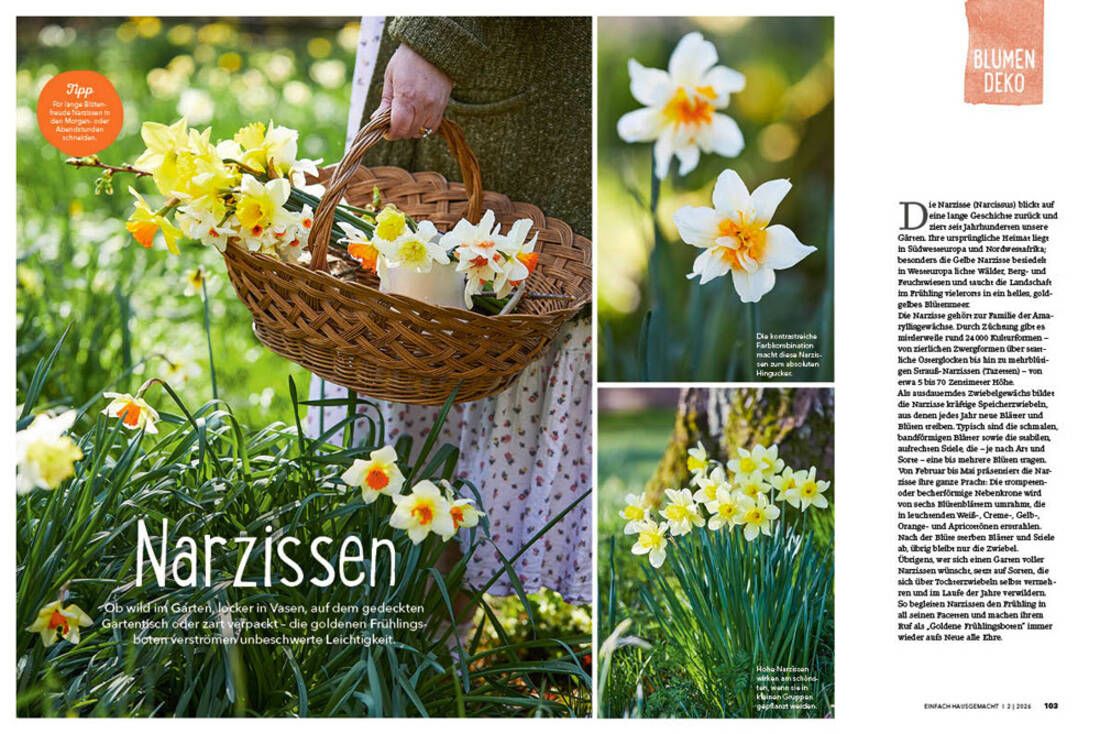 Einfach Hausgemacht 02/26