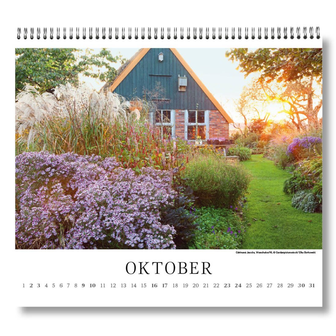 Fotokalender „Gartenträume“ 2027