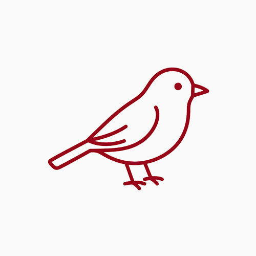 Vögel