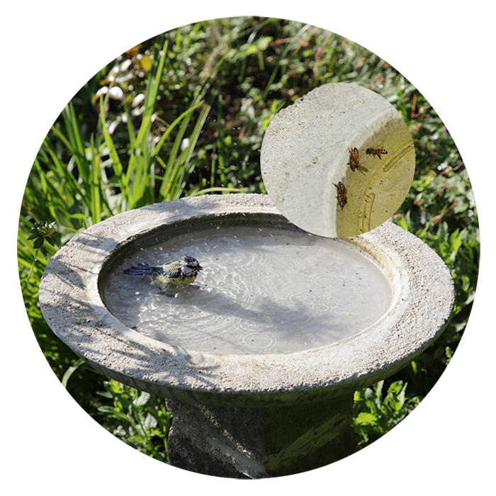 Vogeltränke aus Beton