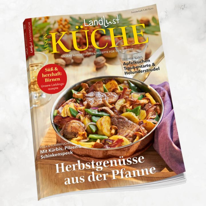 Titelbild der Zeitschrift „Landlust Saisonküche“ mit dem Schwerpunkt auf Herbstrezepte. Im Zentrum eine Pfanne mit gebratenem Fleisch, Kartoffeln, grünen Bohnen und Pilzen. Textaufschriften: „Herbstgenüsse aus der Pfanne“, „Süß & herzhaft: Birnen – Unsere