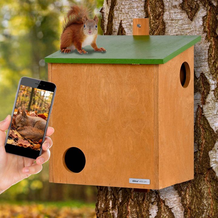 Eichhörnchenkobel aus Holz mit Kamera