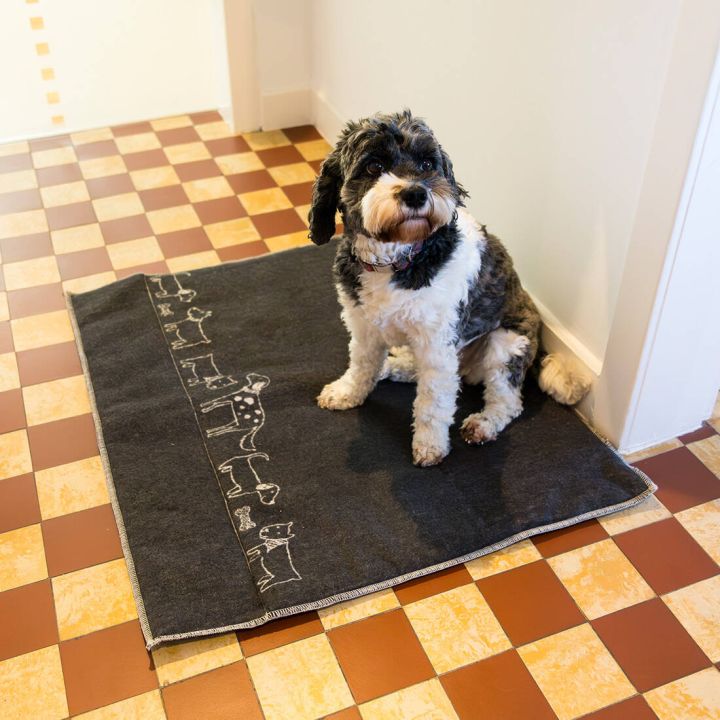 Hundematte wattiert 70 x 80 cm