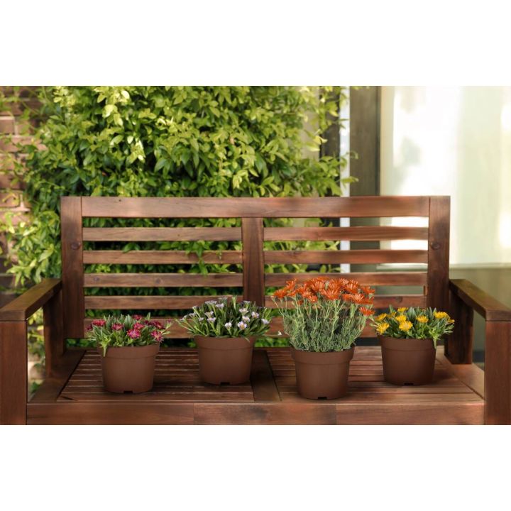 Bunte Mittagsblüten 4er Set