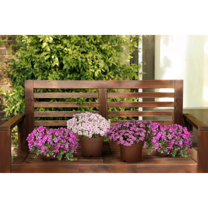 Leuchtendes Frühlingspolster 4er Set
