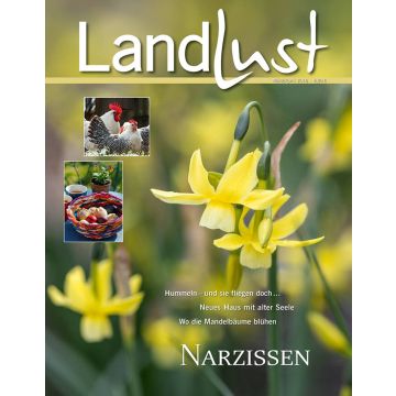 Zeitschriftencover „Landlust“ mit Thema „Narzissen“. Hauptbild zeigt gelbe Narzissen. Zwei kleine Bilder zeigen Hühner und einen Korb mit Brötchen. Texte: „Hummeln – und sie fliegen doch…“, „Neues Haus mit alter Seele“, „Wo die Mandelbäume blühen“.