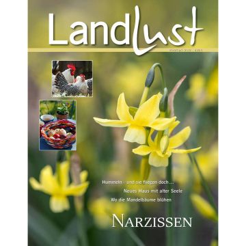 Zeitschriftencover „Landlust“ mit Thema „Narzissen“. Hauptbild zeigt gelbe Narzissen. Zwei kleine Bilder zeigen Hühner und einen Korb mit Brötchen. Texte: „Hummeln – und sie fliegen doch…“, „Neues Haus mit alter Seele“, „Wo die Mandelbäume blühen“.