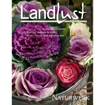 Titelbild der Zeitschrift "Landlust" September/Oktober 2019, zeigt dekorative Blumenkohlrosen in einem Eimer. Themen: Blumensamen verschenken, Werkbank für Kinder, Entenaufzucht. Preis: 4,20 €. "Naturwerk" steht unten rechts.
