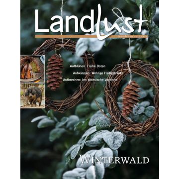 Magazincover von "Landlust" mit dem Hauptthema "Winterwald". Bild zeigt gefrorene Blätter und dekorative Kränze mit Zapfen. Artikel wie "Frühe Boten", "Wohlige Heißgetränke" und "Ins sächsische Vogtland" werden angekündigt.