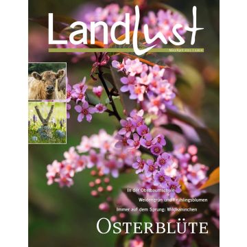 Titelbild der Zeitschrift "Landlust", Ausgabe März/April 2021, zeigt blühende rosa Blumen im Vordergrund. Links oben sind eine Nahaufnahme einer Kuh und ein Ast in V-Form zu sehen.
