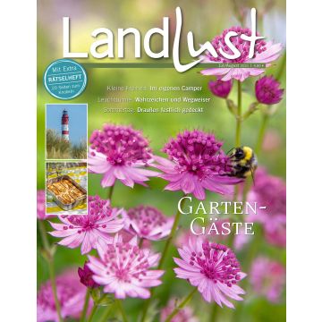 Titelbild der "Landlust" Juli/August 2021. Zentral lila Blüten mit Biene. Text: Artikel über Camper, Leuchttürme und festliche Sommerdeko. Links unten kleine Bilder: ein Leuchtturm und ein gebackenes Gericht.