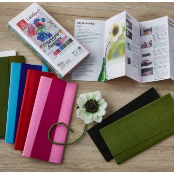 Krepppapier-Set in verschiedenen Farben mit Anleitung und künstlicher Anemonenblume auf Holztisch. Beinhaltet detaillierte Schritt-für-Schritt-Beschreibung zur Herstellung von Papierblumen. Verpackung zeigt farbige Krepppapierstreifen und Blumenillustrati