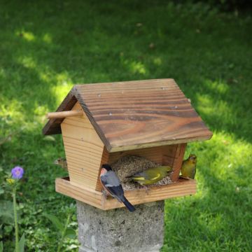 Holz-Vogelhaus auf einem Betonpfosten im Garten, mit mehreren kleinen Vögeln, darunter ein Rotkehlchen. Enthält Sonnenblumenkerne als Futter. Haus aus hell- und dunkelbraunem Holz mit Satteldach. Umgeben von grünem Gras und Blumen.