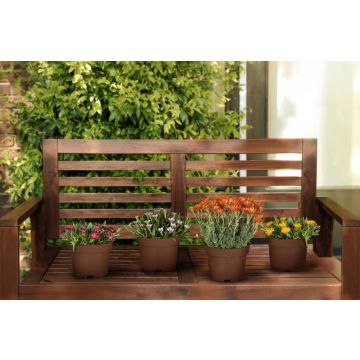 Bunte Mittagsblüten 4er Set