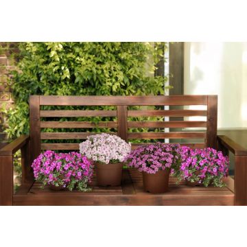 Leuchtendes Frühlingspolster 4er Set