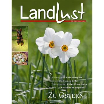 Zeitschriftencover „Landlust“ mit zwei weißen Narzissen im Gras. Kleines Bild zeigt springenden Hund und weiteres Osterkörbchen mit Eiern. Text: „Ins Haus geholt: Erste Blütengäste“ und „Zu Ostern“. Ausgabe März/April 2019.