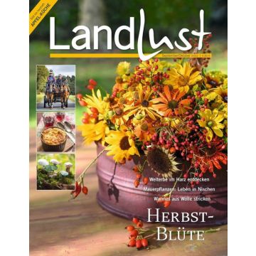 Titelbild der Zeitschrift „Landlust“, Ausgabe September/Oktober 2022, mit herbstlichem Blumenarrangement in einer Vase, kleineren Fotos von Pferdekutsche, Apfelgericht und Pilzen, Text: „Herbstblüte“ und weitere Themenhinweise.