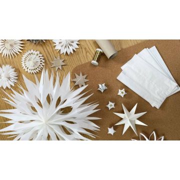 Digital-Workshop Weihnachtssterne