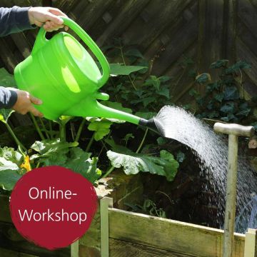 Digital-Webinar Richtig bewässern