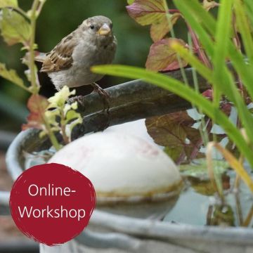 Digital-Workshop Mini-Teich anlegen
