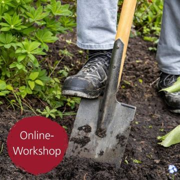 Digital-Webinar Bäume pflanzen