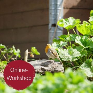 Digital-Webinar Tierfreundlicher Garten